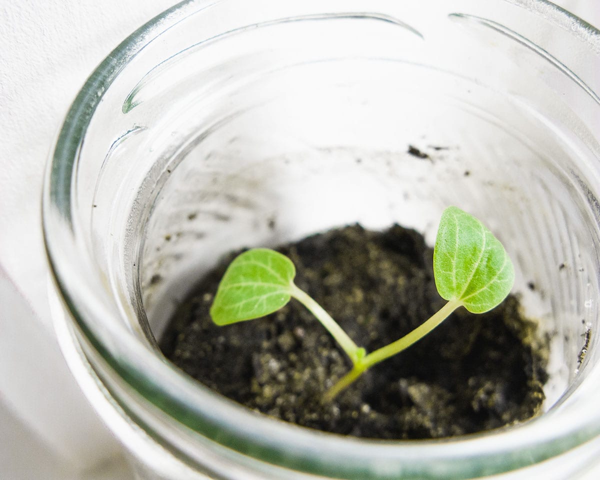 Lead Nurturing Mistakes to Avoid at All Costs