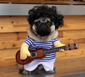 pug rocker