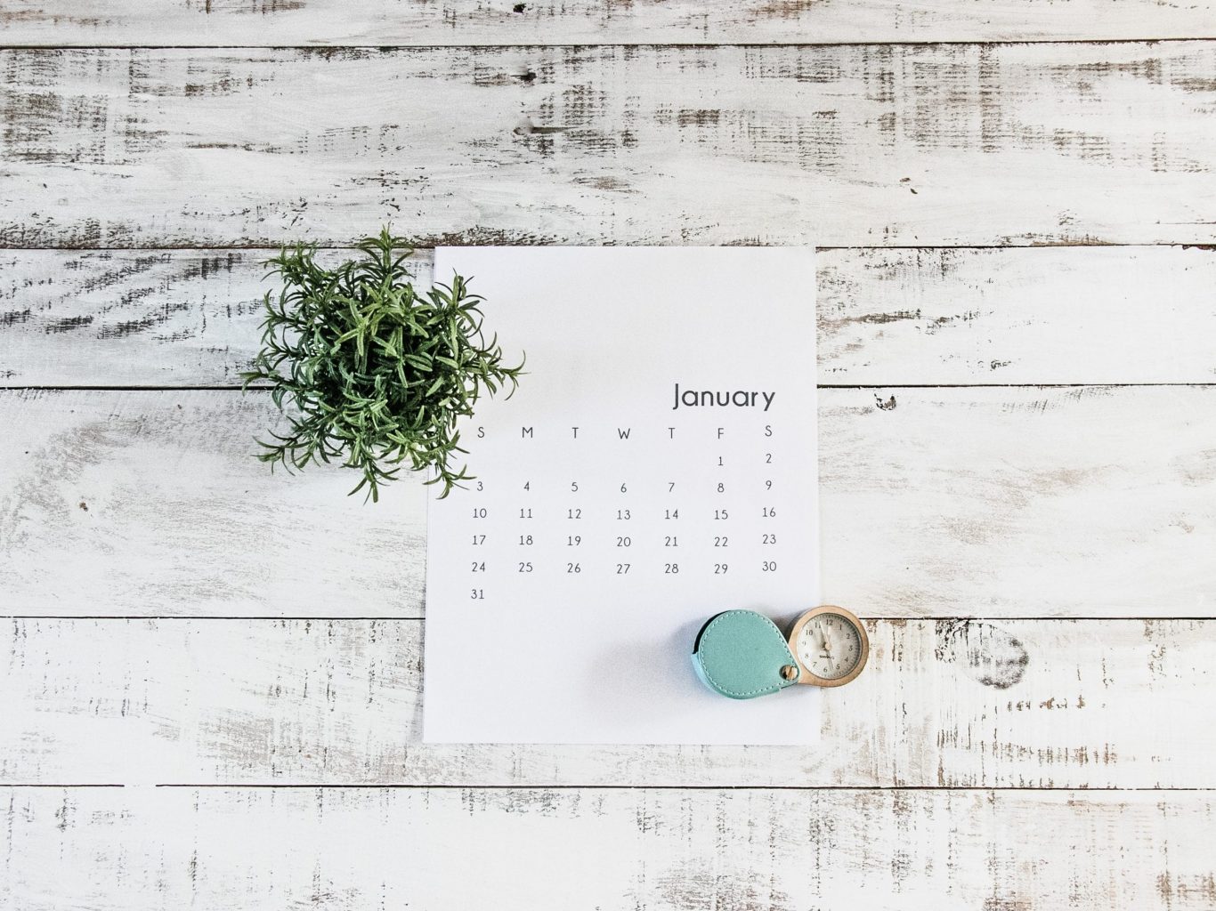 January calendar on a table with a plant