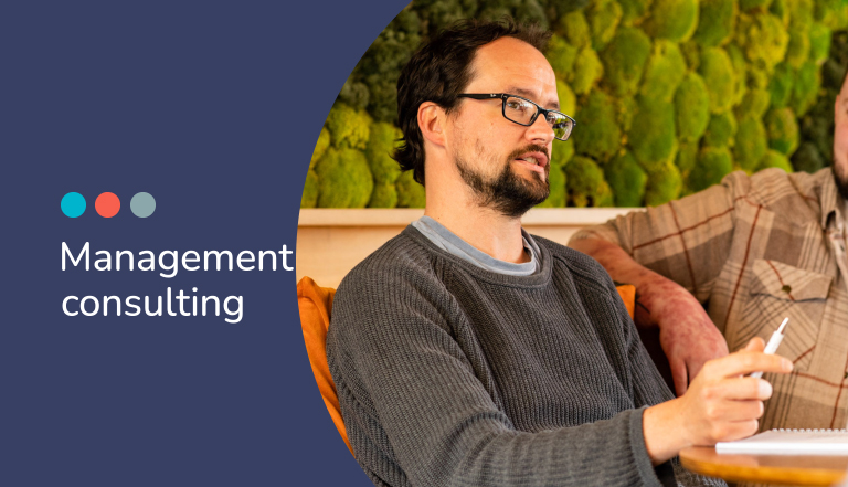 Lead generation and email marketing for management consultants