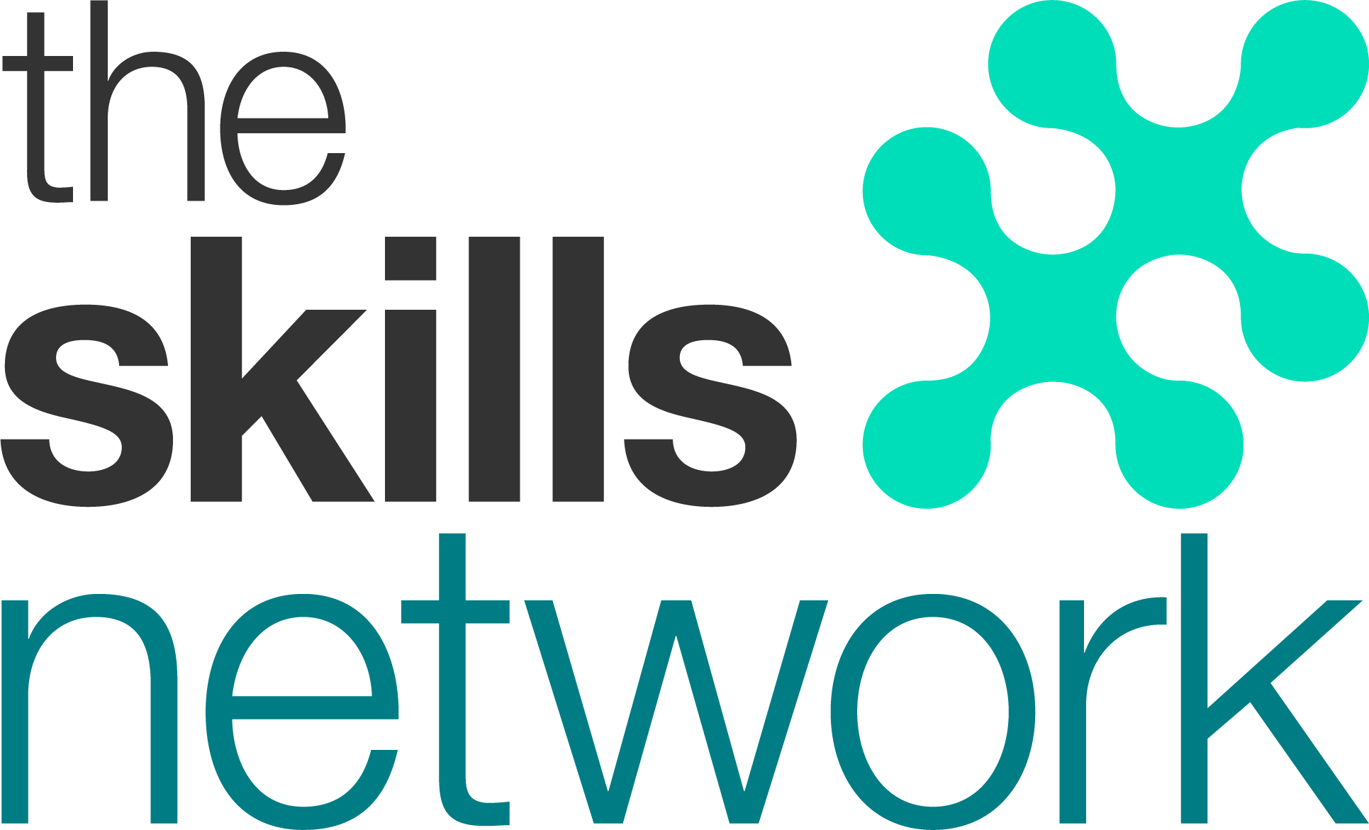 Partner logo
